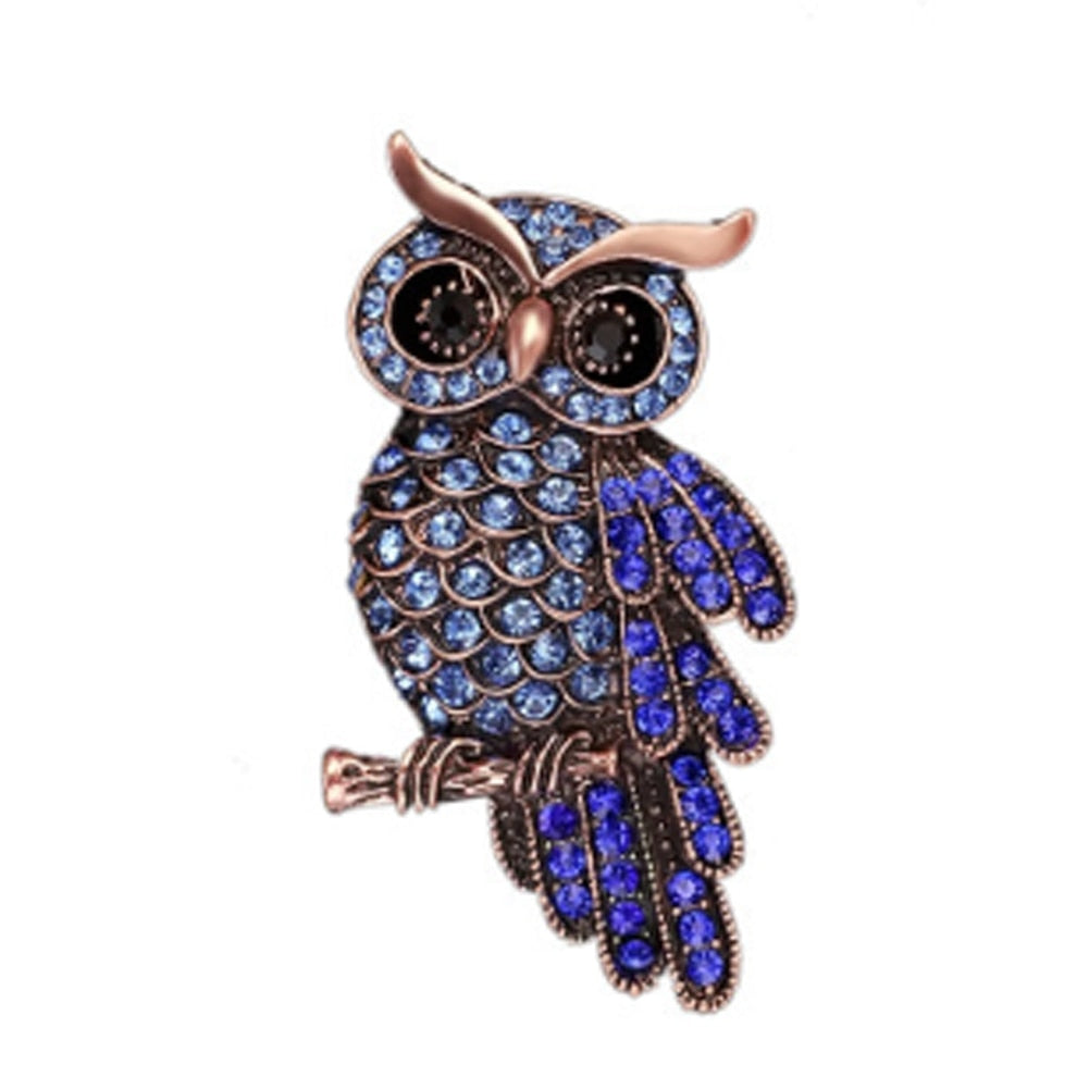 Barn Rhinestone Owl Brooch