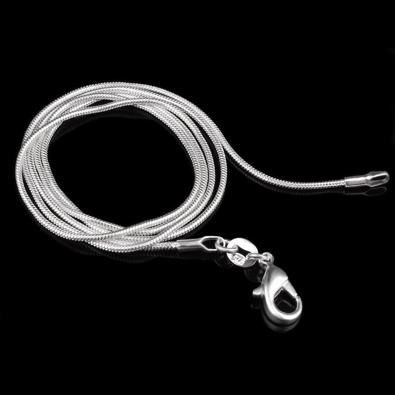 Eva Silver Plated Smooth Snake Chain Necklace