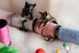 Free Handmade Cute Cat Ring-Rings-Kirijewels.com-Resizable-Black Gun Plated-Kirijewels.com