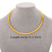 Free New Elegant Stainless Steel Choker Necklace-Choker Necklaces-Kirijewels.com-SSNEG7314 Gold 46CM-Kirijewels.com