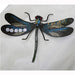 Delilah Mesh Dragonfly T-Shirt - Kirijewels.com