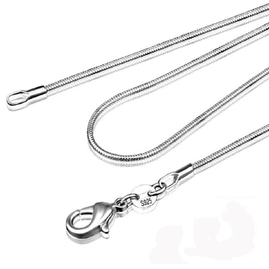 Free Lobster Clasp Silver Snake Chain Necklace